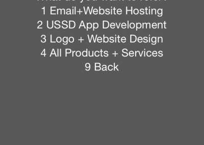 referral-ussd-menu-ussd-application-development-email-website-design-web-hosting-mobile-online-presence