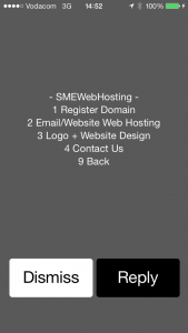 sme-web-hosting-menu-ussd-application-development-email-website-design-web-hosting-mobile-online-presence