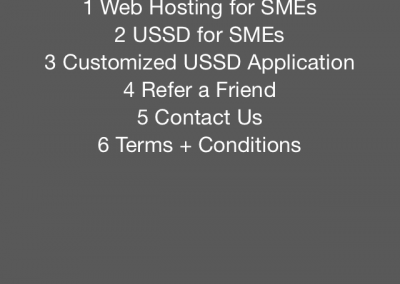 last-invention-mobile-customer-ussd-platform-main-menu-ussd-application-development-email-website-design-web-hosting-mobile-online-presence